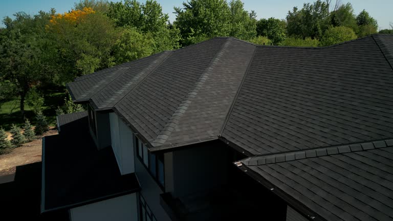 Trusted Bryn Mawr Skyway, WA Roofing Service Experts